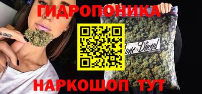 сатива Пенза