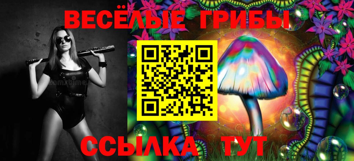 Псилоцибиновые грибы MAGIC MUSHROOMS  Псилоцибиновые грибы Psilocybe  Ревда  Вход с VPN 